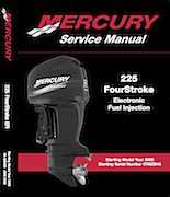 Mercury 225 EFI periodic maintenance